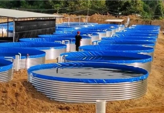 آکواریوم های ورق گالوانیزه آکواریوم پرورش ماهی 30M قطر بزرگ
