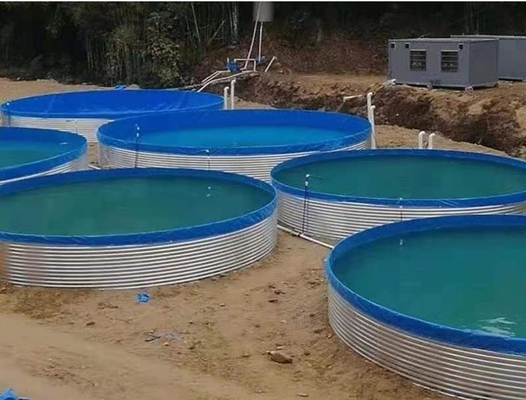 آکواریوم های ورق گالوانیزه آکواریوم پرورش ماهی 30M قطر بزرگ