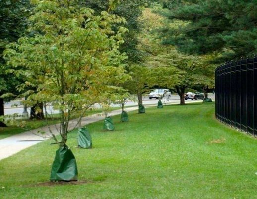 کیسه های آبیاری درخت سبز 25 گالن برای آبیاری درختان تازه کاشته شده کیسه های آبیاری درخت خود