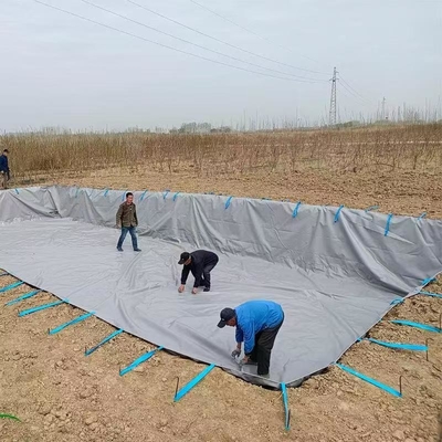 شاشه جمع آوری آب باران زراعی