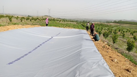 جمع آوری آب باران گلخانه ای مخزن آب از پارچه پی وی سی برای آبیاری کشاورزی