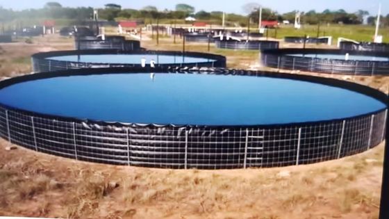 16 متر قطر 301،440 لیتر استخر ماهی گرد قابل جمع و جور استخر ماهی بیرونی PVC