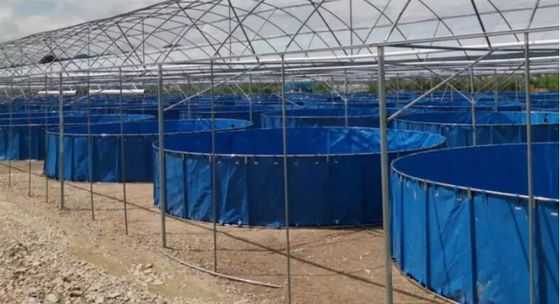 5000L قابلمه 0.9mm PVC مخروط مخزن ماهی برای مزرعه ماهی استخر ماهی استخر پلاستیکی استخر ماهی