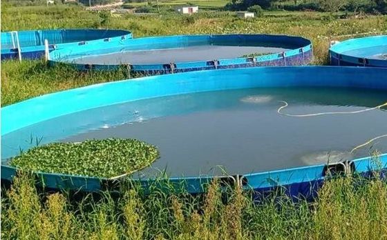 50000L انعطاف پذیر قابل تاشو 0.9mm پی وی سی پلین مخزن ماهی در فضای باز استخر ماهی Diy استخر ماهی