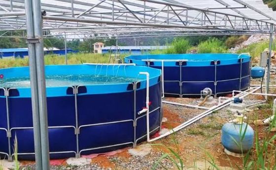 50000L انعطاف پذیر قابل تاشو 0.9mm پی وی سی پلین مخزن ماهی در فضای باز استخر ماهی Diy استخر ماهی
