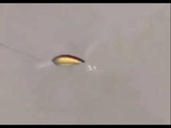 تله های پلاستیکی تله های جدید صخره تله های ماهی قند ماهیگیری ماهی های دریایی تله های سخت