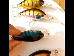 طعمه های پلاستیکی زبان پهن گربه ماهی صید دریایی