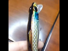 طعمه های پلاستیکی ماهیگیری در دریا ماهیگیری دور