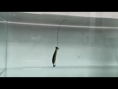 طعمه نرم ماهیگیری سیلیکونی تقلبی طعمه نرم PVC لوچ