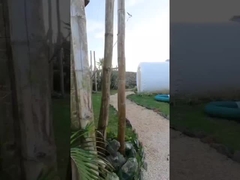 اتاق هتل خانه در فضای باز چادر بلبل بادکنک